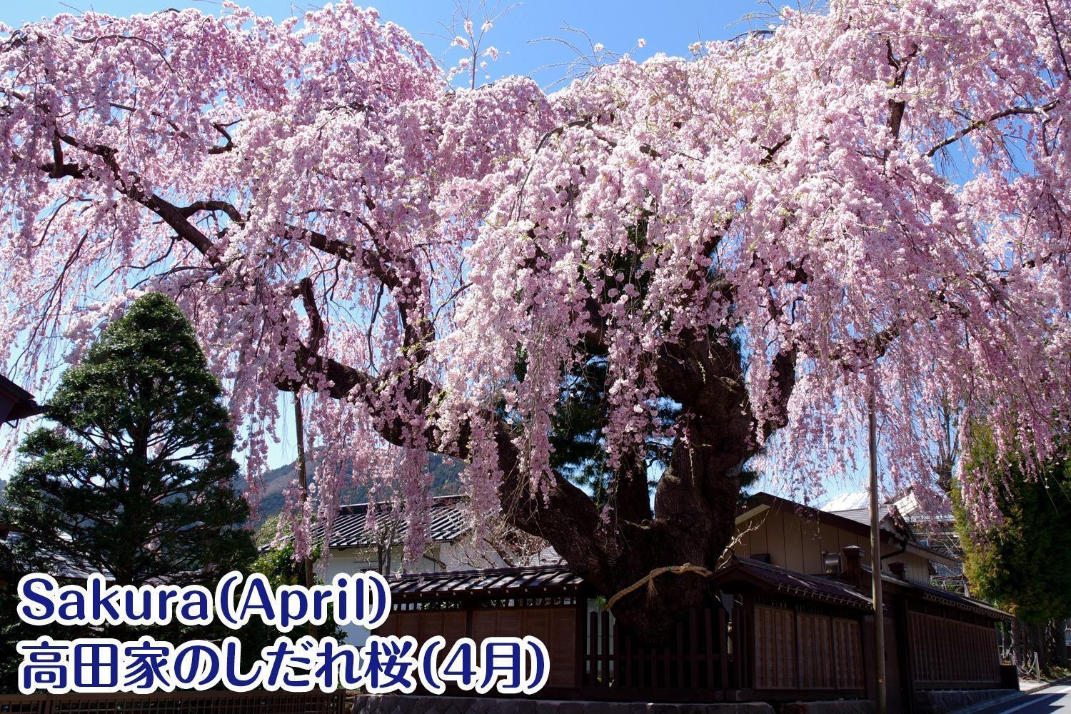Nikko Stay House Arai - Vacation Stay 14994V Eksteriør billede